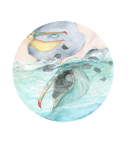 它说海鸟说.jpg