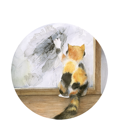 它又说家猫说.jpg